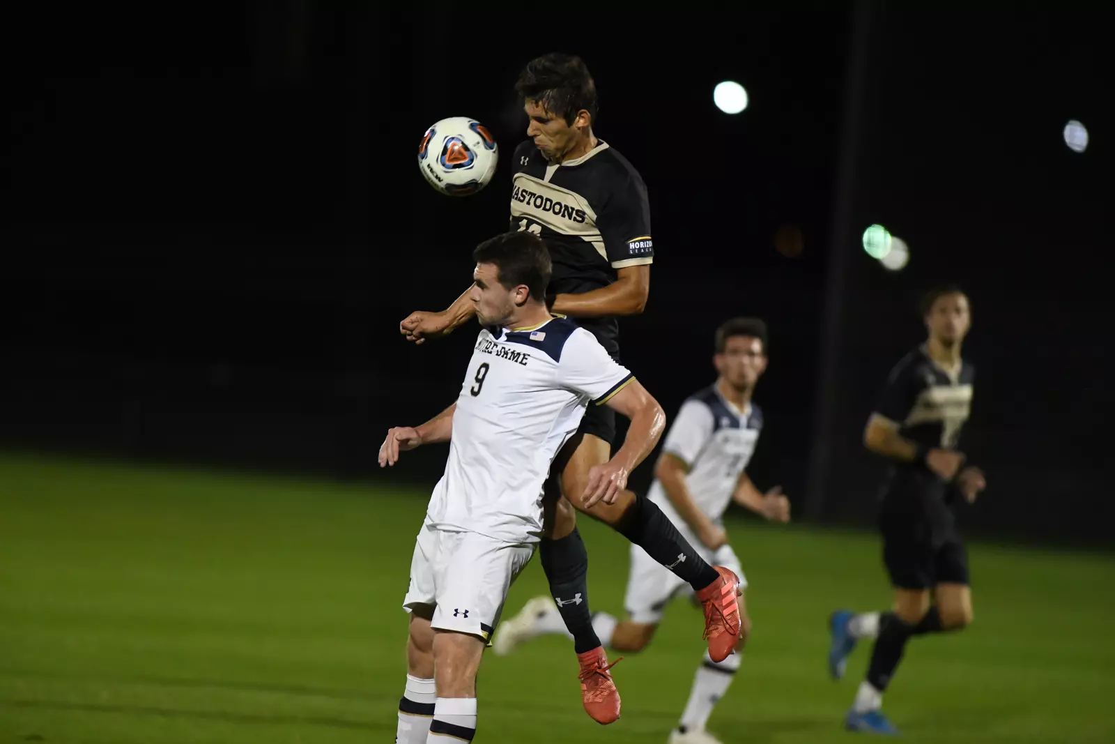 Mastodons at Notre Dame