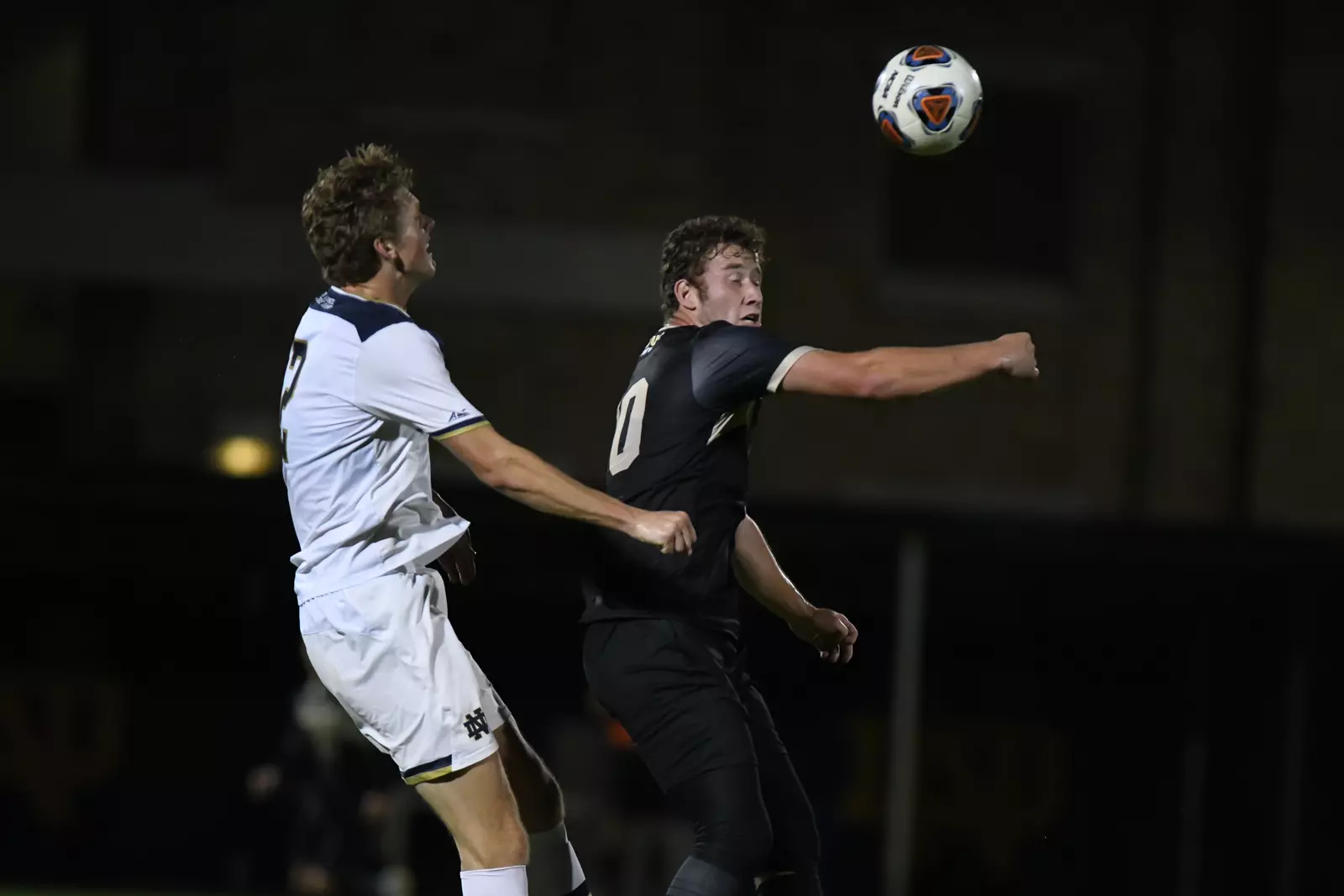Mastodons at Notre Dame