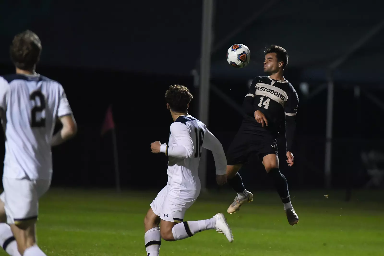 Mastodons at Notre Dame