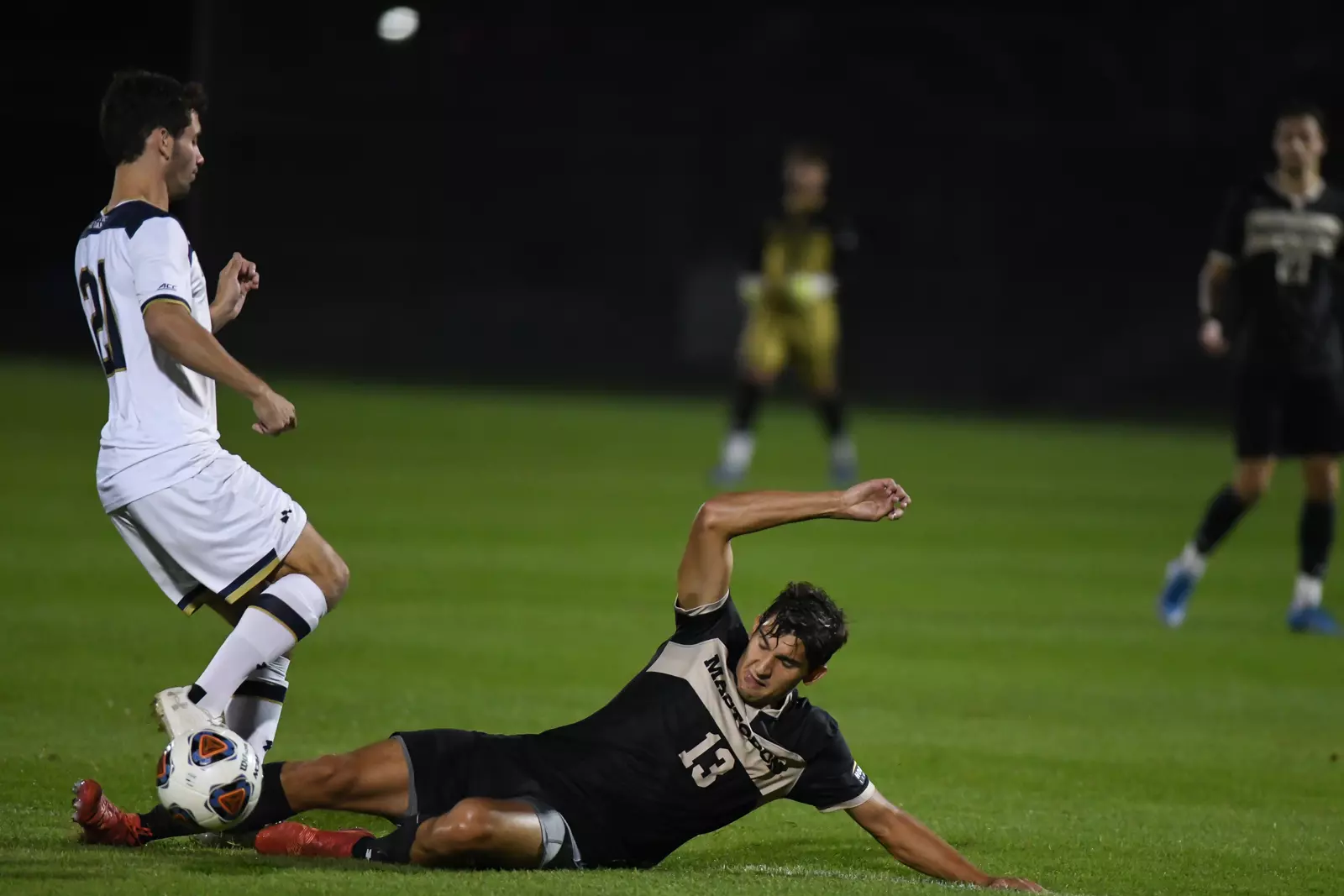 Mastodons at Notre Dame