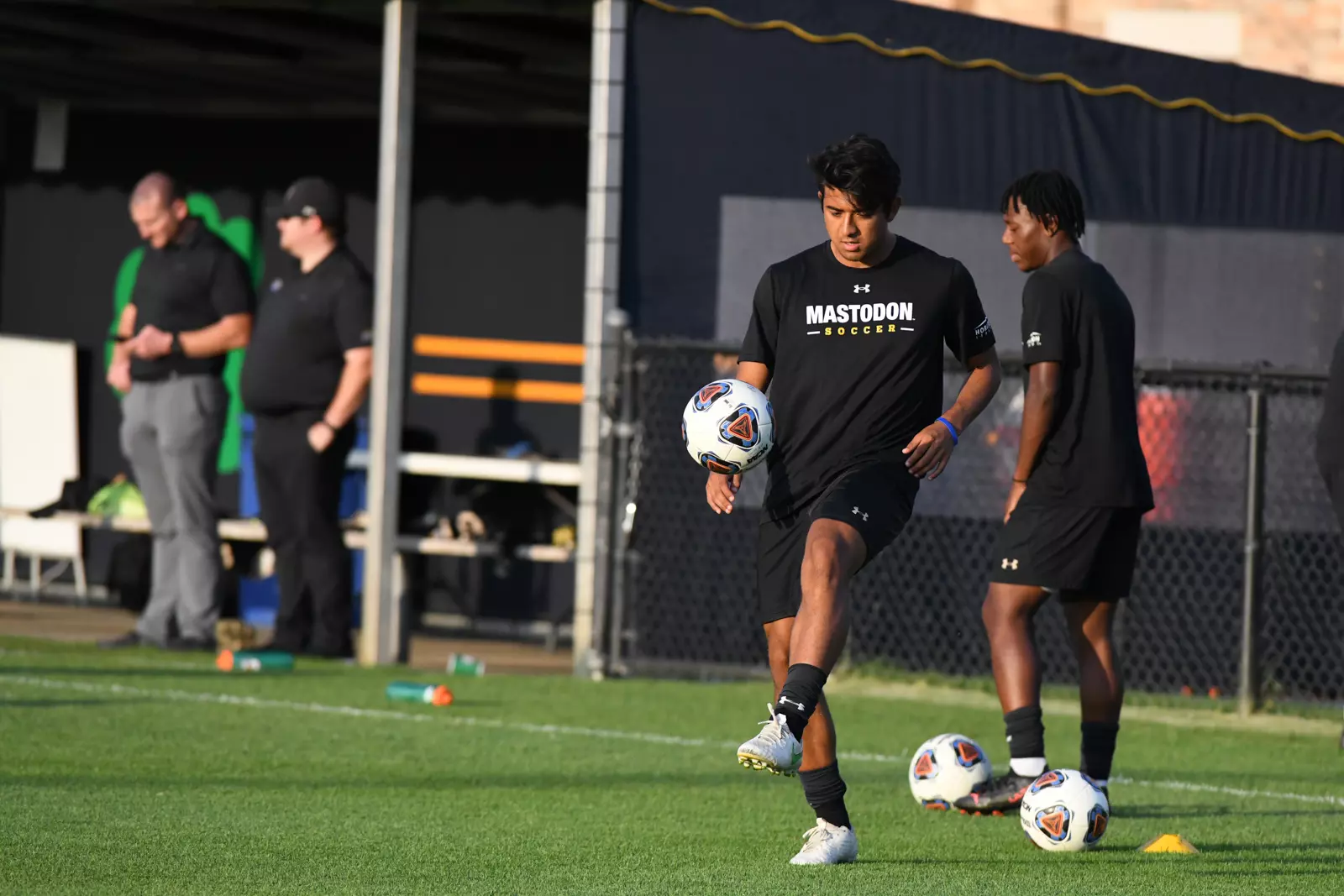 Mastodons at Notre Dame
