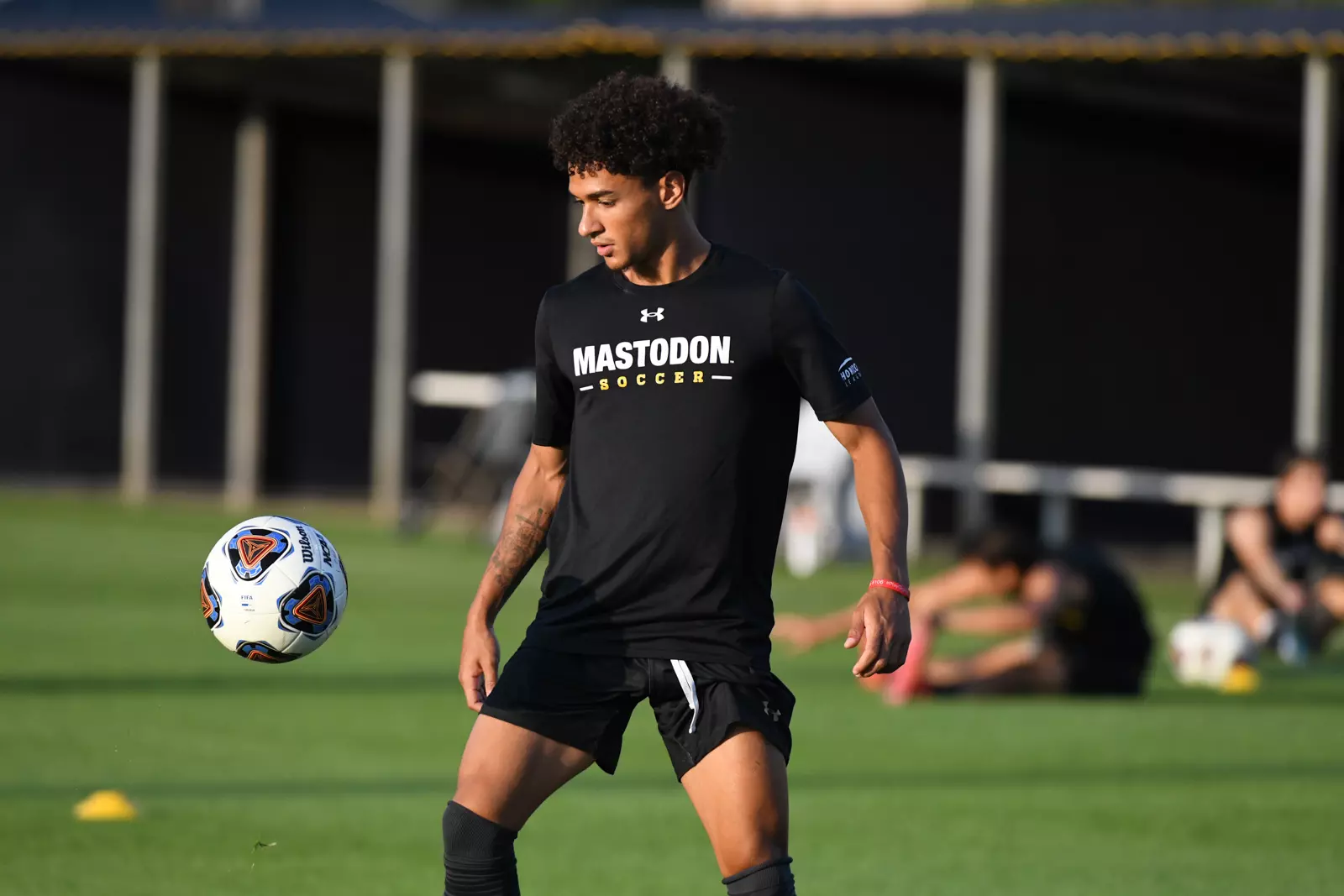 Mastodons at Notre Dame