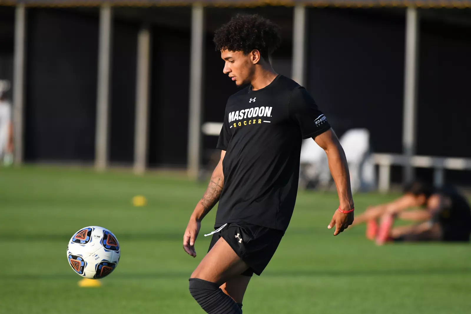 Mastodons at Notre Dame