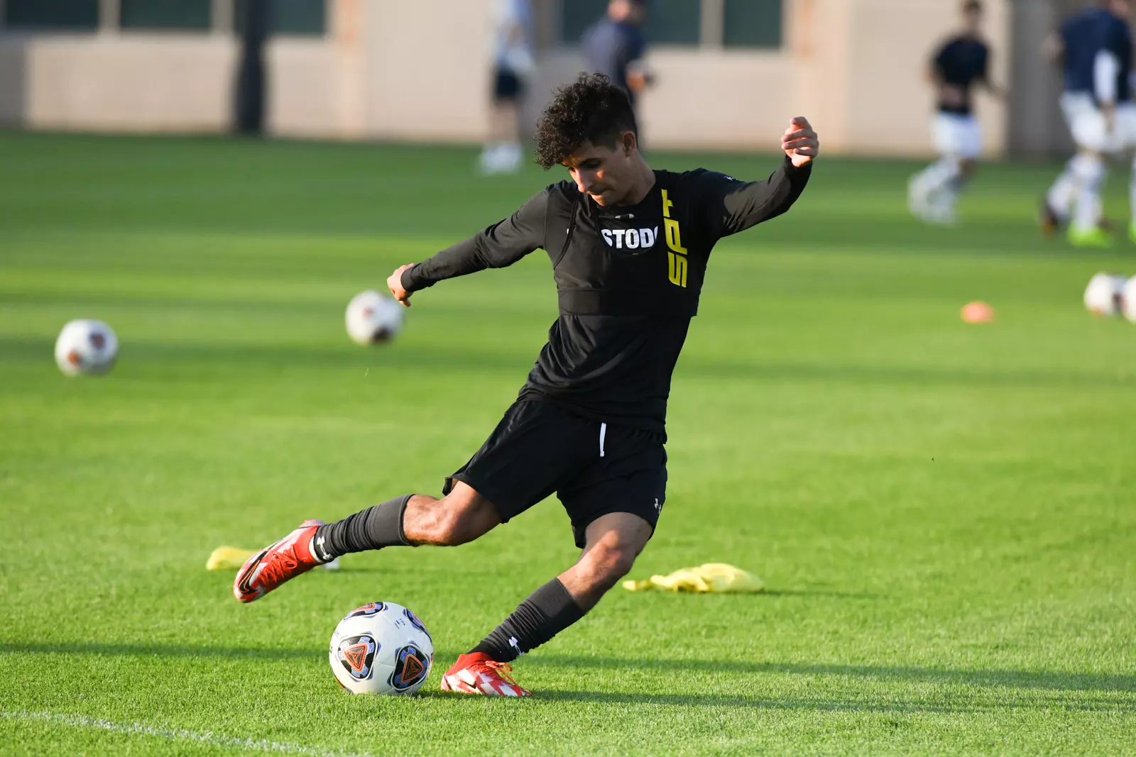 Mastodons at Notre Dame