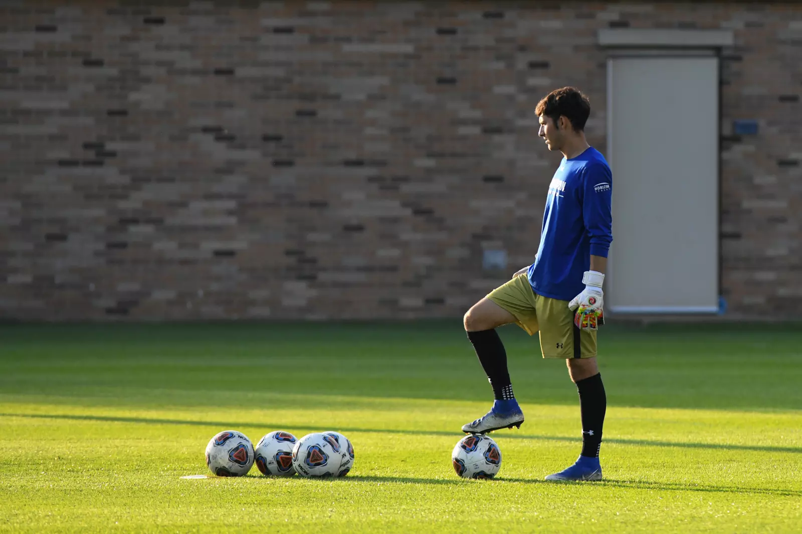 Mastodons at Notre Dame
