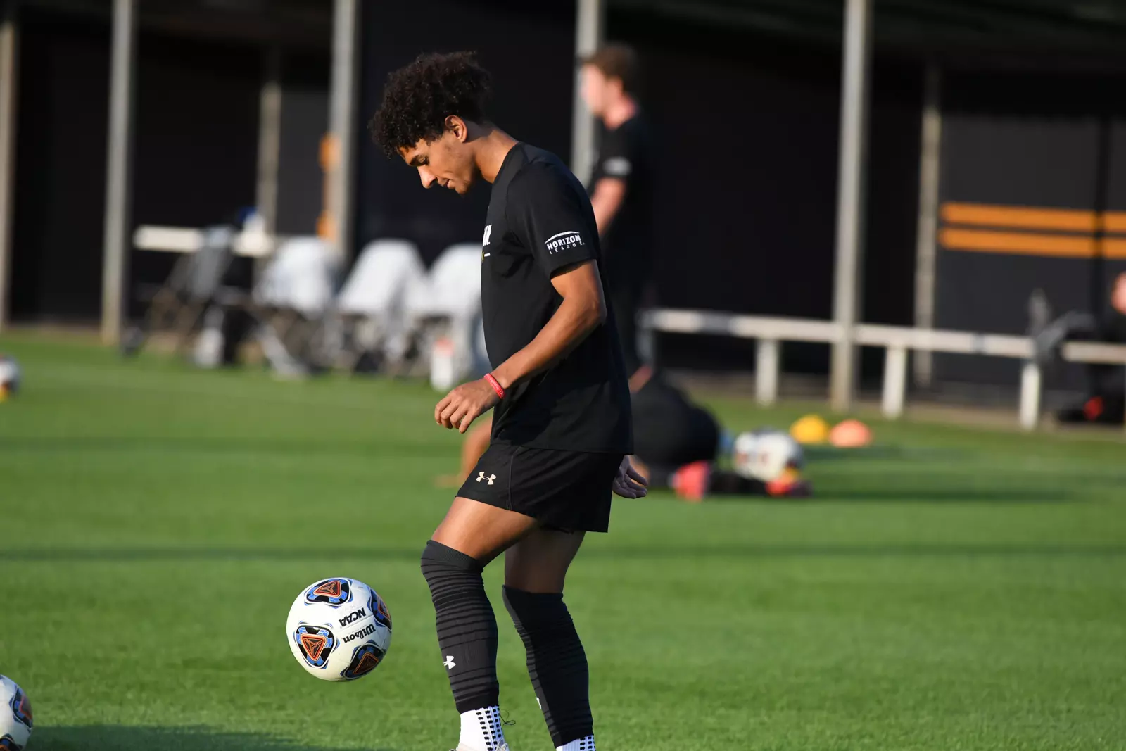 Mastodons at Notre Dame