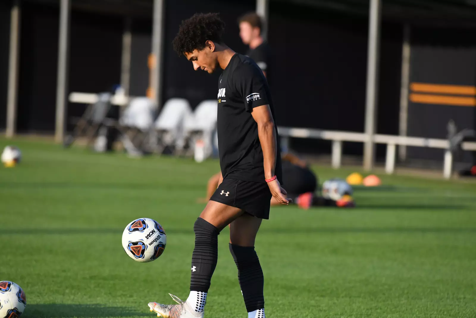 Mastodons at Notre Dame