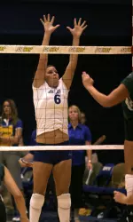 'Dons Sweep Ladies Image