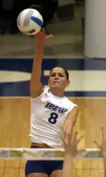 'Dons Corral Bison in Four Image