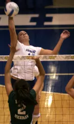 IPFW Falls to Golden Eagles Image