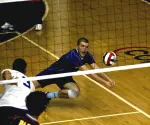 Volleydons Rebound With Sweep of Springfield College Image