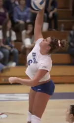 Mastodons Swept by Kangaroos Image