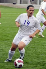 Falcons Fly Past Mastodons Image