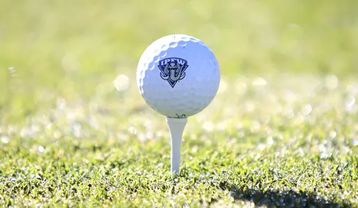 MGOLF_Tee_Pic
