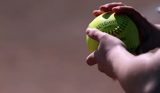 General Softball Image