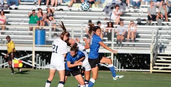 Maya Reyes action v Butler