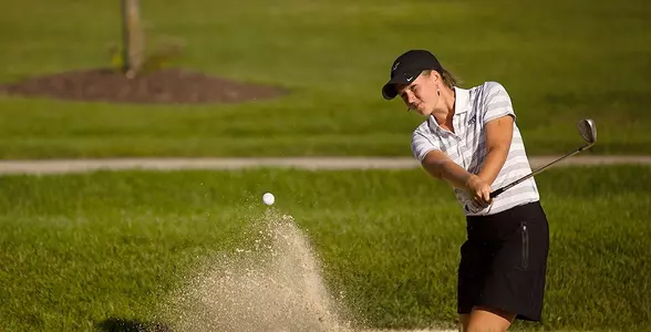 Allison Curtis Action