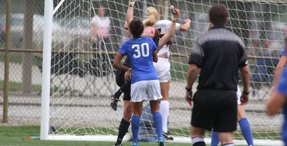 KennedyWilliamsaction