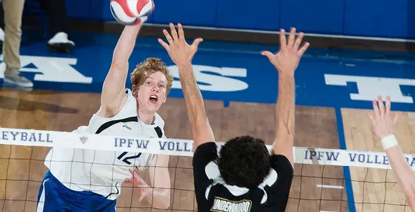 Andrew Sellan Action