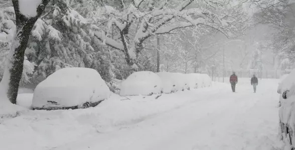 Snow Picture