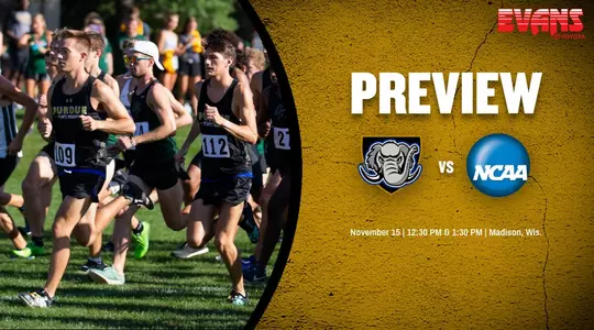 Regional Preview