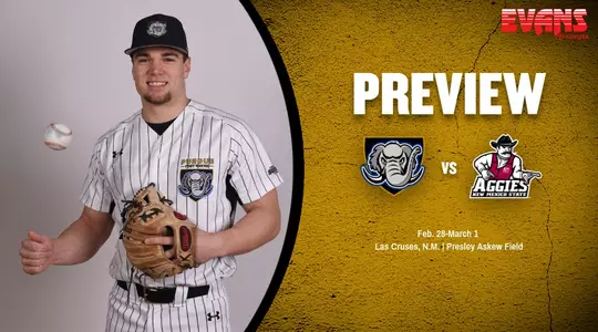 new mexico state two