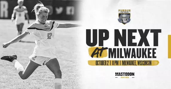 Preview vs Milwaukee