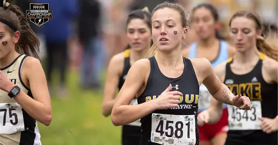 WXC recap