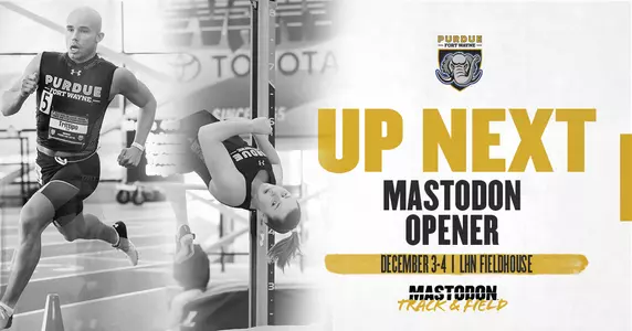 Mastodon Opener Preview