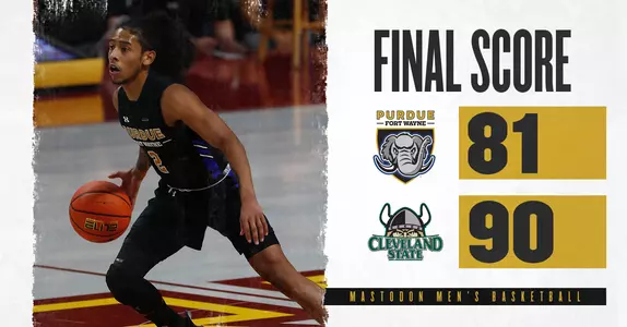 csu final web