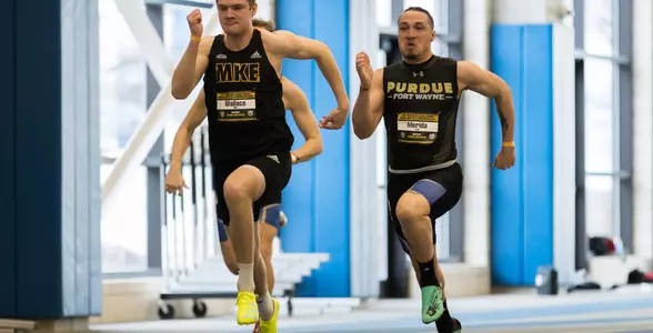 Elijah Merida action