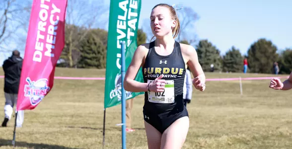 King HL XC Championship