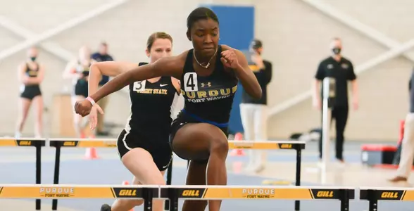 Hudson-Turpin Hurdles