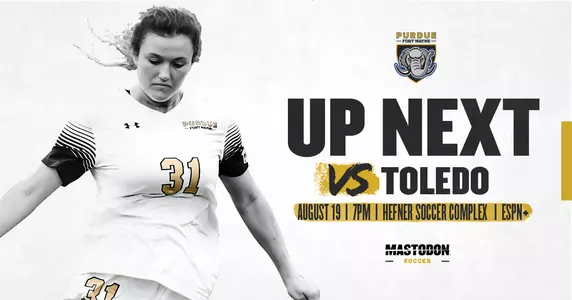 Web preview vs Toledo