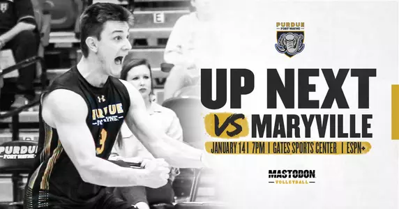 Preview vs Maryville