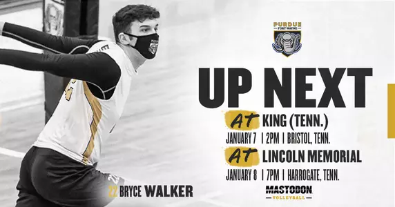 MVB preview vs King & LMU