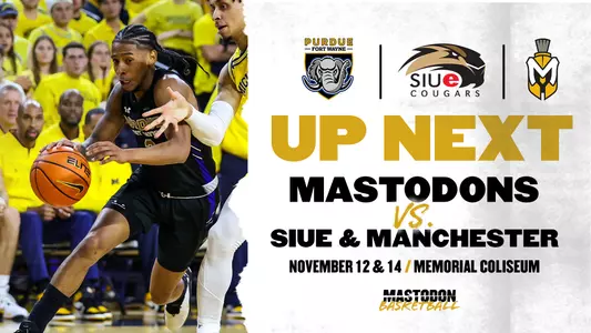 SIUE and manchester web