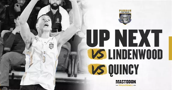 Web Preview vs Lindenwood & Quincy