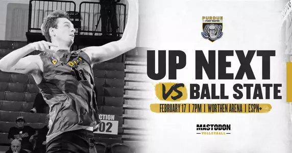 Web Preview vs Ball State