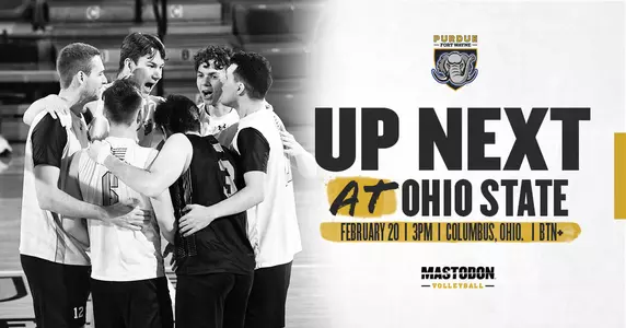 Web Preview vs Ohio State
