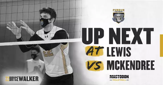 Web preview Lewis & McKendree