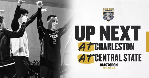 Web Preview vs Charleston & CSU