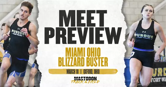 Web Preview at Blizzard Buster