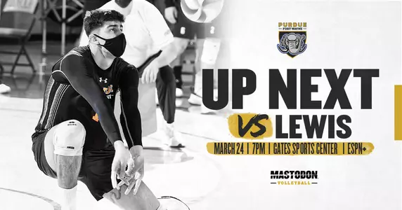 MVB preview vs Lewis