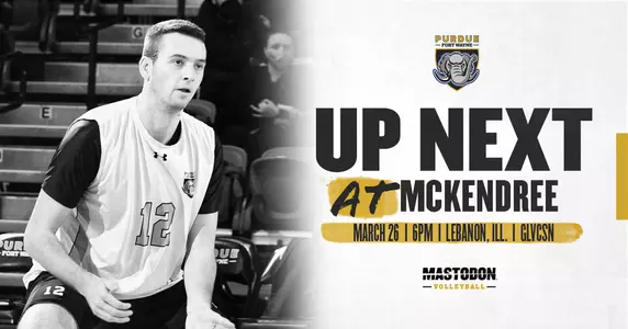 Web preview vs McKendree