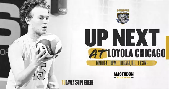 Web Preview vs Loyola