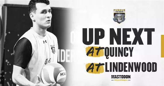 Web preview at Quincy & Lindenwood