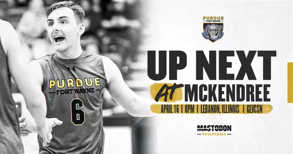 Web Preview vs McKendree