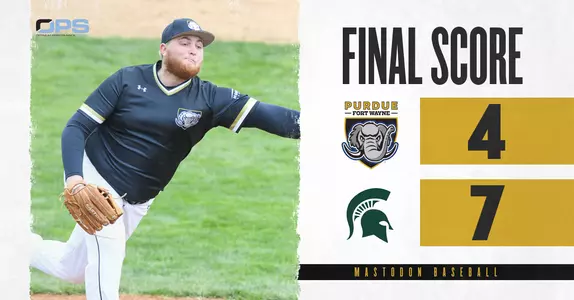 msu web final