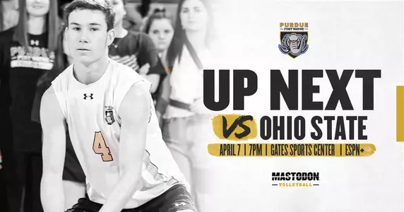 Web Preview vs Ohio State